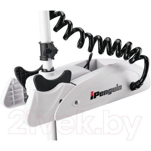 Лодочный мотор Haibo iPenguin P65 12V