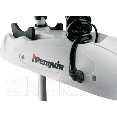 Лодочный мотор Haibo iPenguin P65 12V