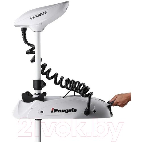 Лодочный мотор Haibo iPenguin P65 12V