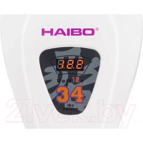 Лодочный мотор Haibo D34 12V