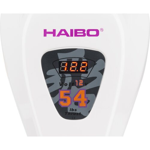 Лодочный мотор Haibo D54