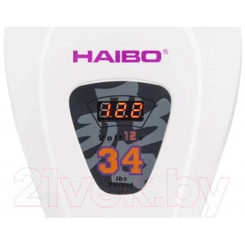 Лодочный мотор Haibo D34 12V