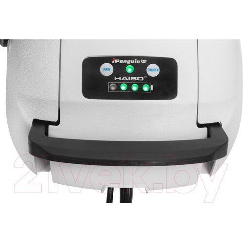 Лодочный мотор Haibo iPenguin P65 12V