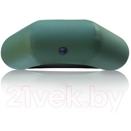 Лодка ПВХ Leader Boats Компакт-260 / 0082200 (зеленый)