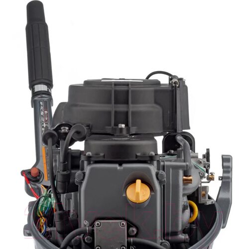 Лодочный мотор Mikatsu MF9.9FHS