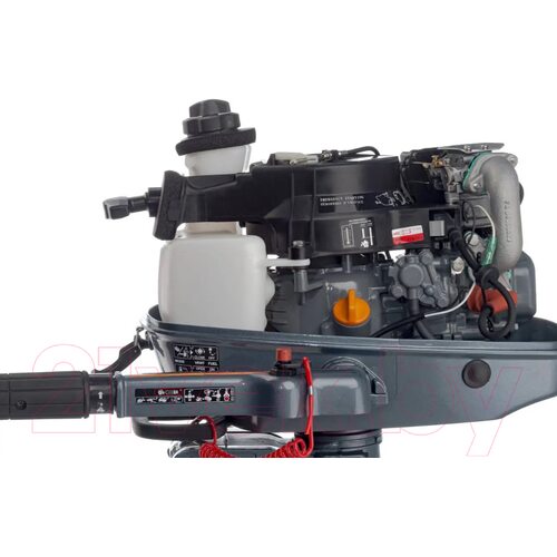 Лодочный мотор Mikatsu MF5FHS