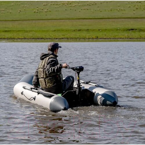 Лодочный мотор Nisus 40 LBS / N-TM-40 Лодочный мотор Nisus 40 LBS / N-TM-40