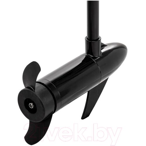 Лодочный мотор Nisus 36 LBS / N-TM-36 Лодочный мотор Nisus 36 LBS / N-TM-36