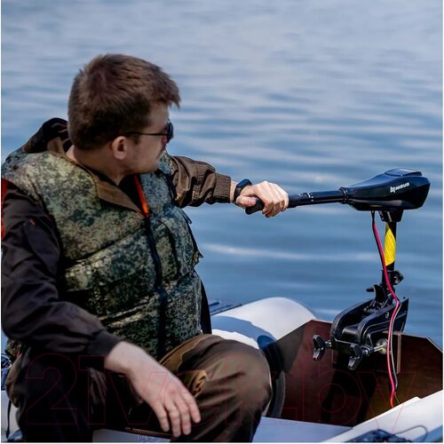 Лодочный мотор Nisus 36 LBS / N-TM-36 Лодочный мотор Nisus 36 LBS / N-TM-36