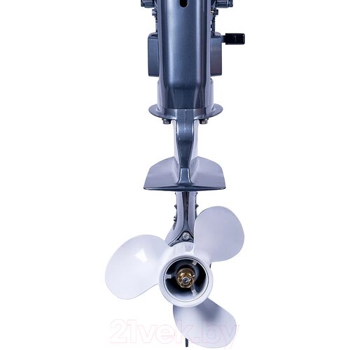 Лодочный мотор Seanovo SN30FFES