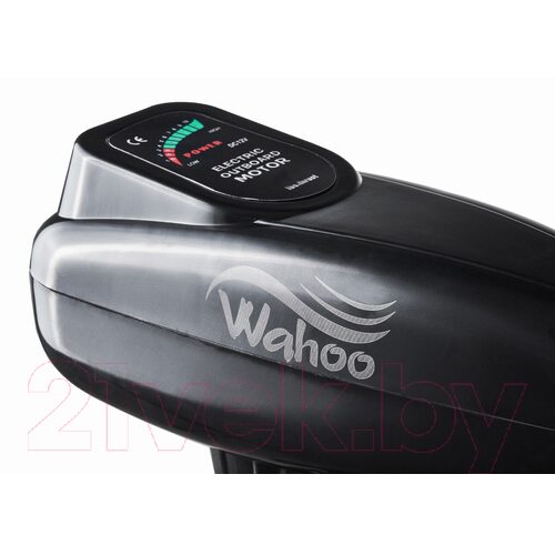 Лодочный мотор Wahoo GJ-L-46 Лодочный мотор Wahoo GJ-L-46